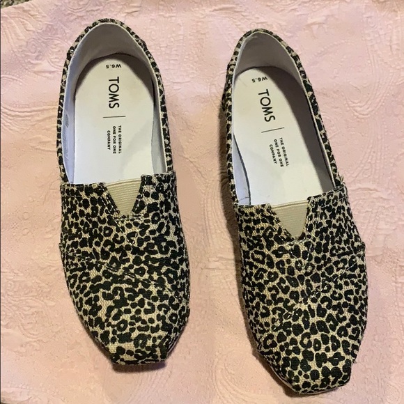 toms baby cheetah